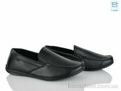 Nasite Z121-1C, 340.00, 8, 31-36