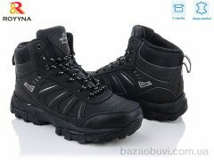 ROYYNA 062D-6-43, 30.00, 8, 41-46