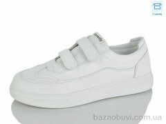 Lilin 705-6, 520.00, 8, 37-41