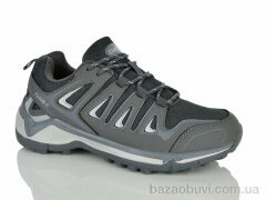 Pet A828-3, 460.00, 8, 41-46