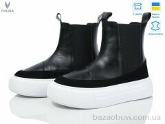 Viscala 27119 чорн-біл. К., 1000.00, 6, 36-40