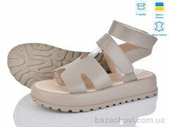Ailinda 316-26, 490.00, 6, 36-40