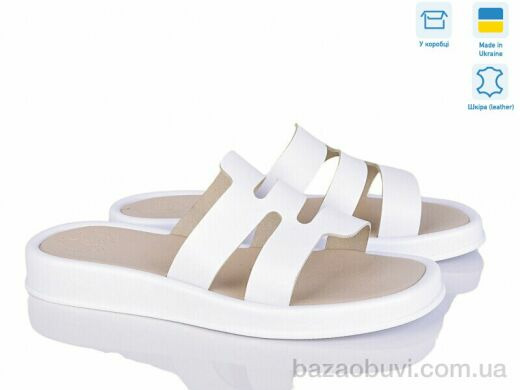 Ailinda 337-8, 570.00, 6, 36-40