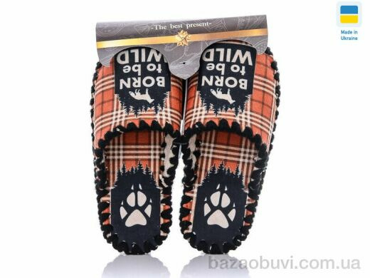 Active 5-140, 280.00, 10, 36-41