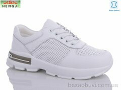 HENGJI-ELENA 54-3, 790.00, 8, 36-41