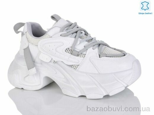 Teetspace-Trasta-Egga WDP1810-26, 15.00, 6, 36-41