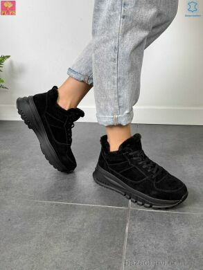 PLPS S650-2, 27.00, 6, 36-40