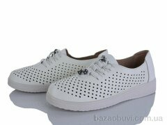 Lion-Lu 2024-24, 350.00, 8, 36-41