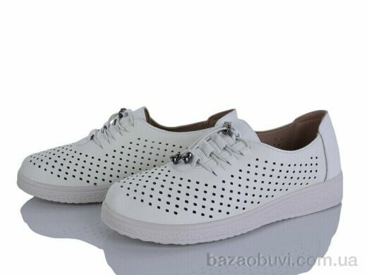 Lion-Lu 2024-24, 350.00, 8, 36-41