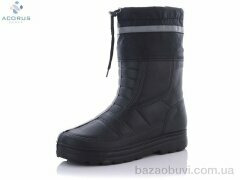 Acorus Б01, 260.00, 12, 41-45