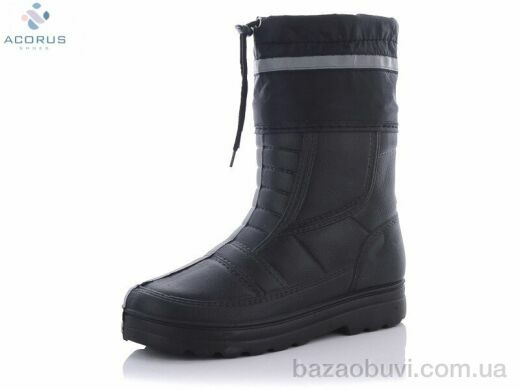 Acorus Б01, 260.00, 12, 41-45