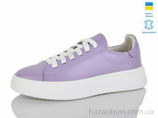 Carolina AP162-9, 500.00, 6, 36-40