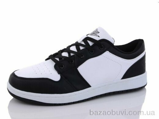 Pet 3091-8A, 550.00, 8, 41-46