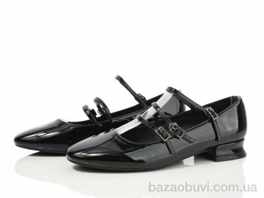 Loretta A231-1, 250.00, 6, 36-40