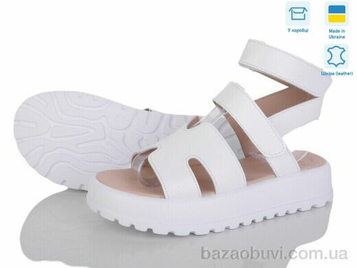 Ailinda 316-8, 490.00, 6, 36-40