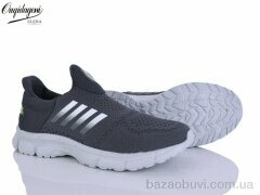 Dageni T99352-3, 600.00, 6, 47-50