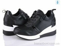 Loretta V1007-1, 500.00, 8, 36-41