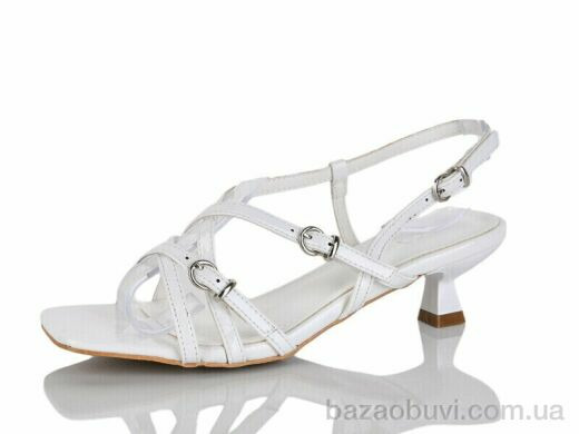 Alimama-Girnaive QQ124-2, 590.00, 6, 36-41