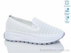 Purlina 4168-2, 450.00, 6, 36-41