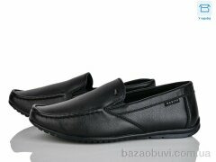 Nasite Z121-2C, 350.00, 8, 31-36