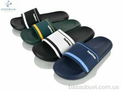 Acorus B43 mix, 145.00, 10, 40-45