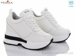 Veagia-ADA F856-2, 19.00, 6, 36-41