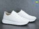 Ailinda 206-8П, 930.00, 6, 36-40