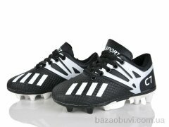 ASHIGULI C22-1, 420.00, 12, 31-36