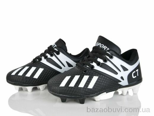 ASHIGULI C22-1, 420.00, 12, 31-36