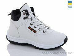 Swin 6650-2, 450.00, 8, 36-41