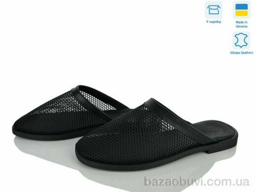 Ailinda 469-2, 590.00, 6, 36-40
