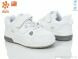 TOM.M 01336A LED, 390.00, 8, 27-32