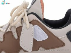 BBT H19-3-5, 355.00, 8, 32-37