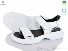 Viscala 23514-176 б.ш., 550.00, 6, 36-40