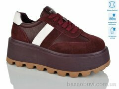 Teetspace-Trasta-Egga WDP1667-58, 30.00, 6, 36-41