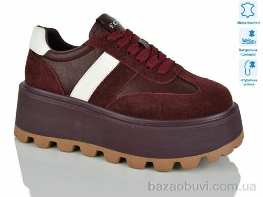 Teetspace-Trasta-Egga WDP1667-58, 30.00, 6, 36-41