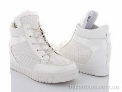 Lion 1251-6, 100.00, 8, 36-41