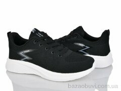Lion-Lu 2446 black-white, 370.00, 8, 40-45