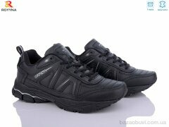 ROYYNA 081 CB-43, 24.65, 8, 41-46