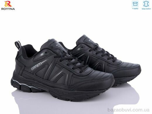 ROYYNA 081 CB-43, 24.65, 8, 41-46