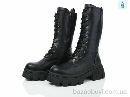 Lion A77-1258, 800.00, 8, 36-40