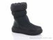 Purlina XL3113-1, 750.00, 8, 36-41