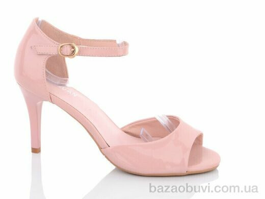 Hongquan SK3, 180.00, 8, 36-40