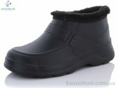 Acorus Payas, 165.00, 8, 41-45