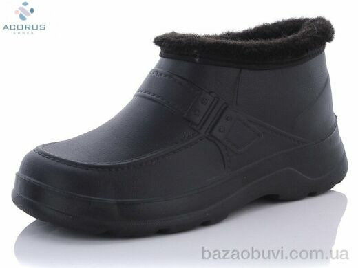 Acorus Payas, 165.00, 8, 41-45