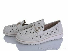 Lion-Lu 2024-67, 350.00, 8, 36-41