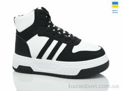 Swin 2211-2, 450.00, 8, 36-41