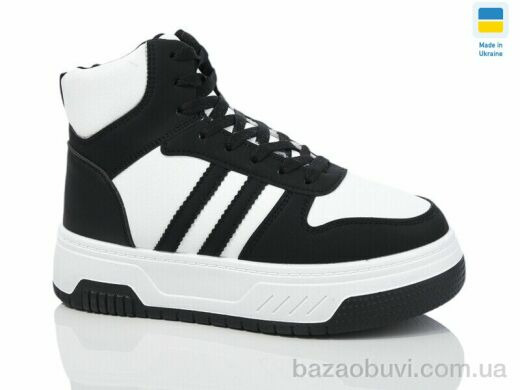 Swin 2211-2, 450.00, 8, 36-41