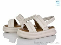 Svit 8811-2, 400.00, 6, 36-41