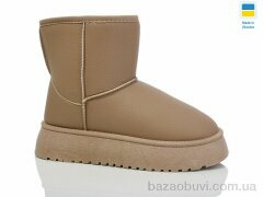 Swin 2504-2, 440.00, 10, 36-41